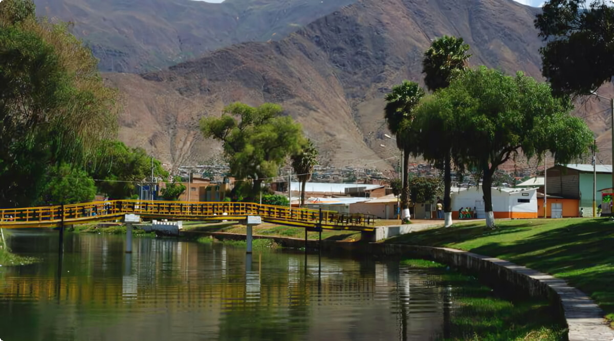 Quais são as escolhas de veículos mais populares em Huánuco?